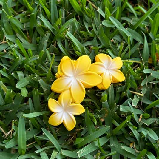 Colored Hawaiian Plumeria Flower Claw Hair Clips for Women