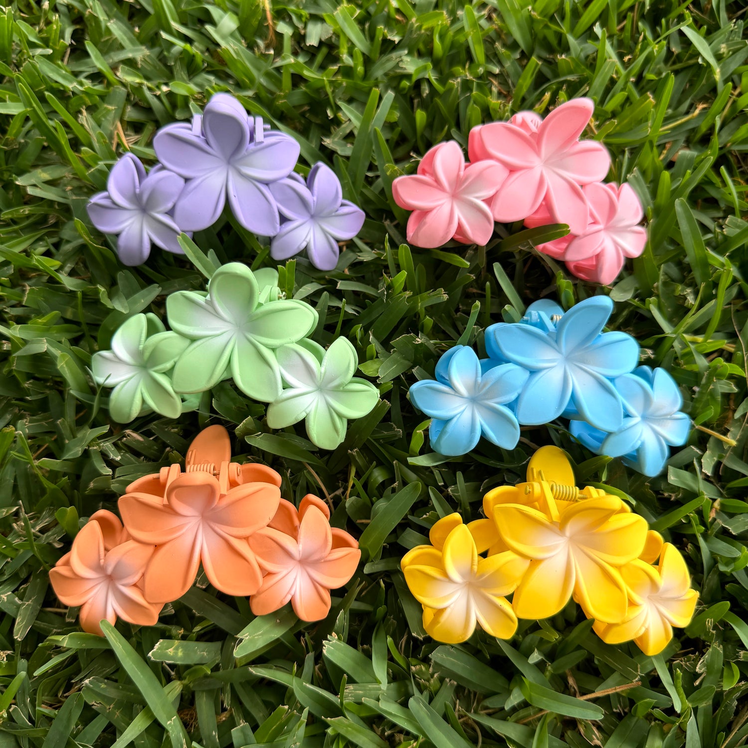 Colorful and floral Hair Clips for Women